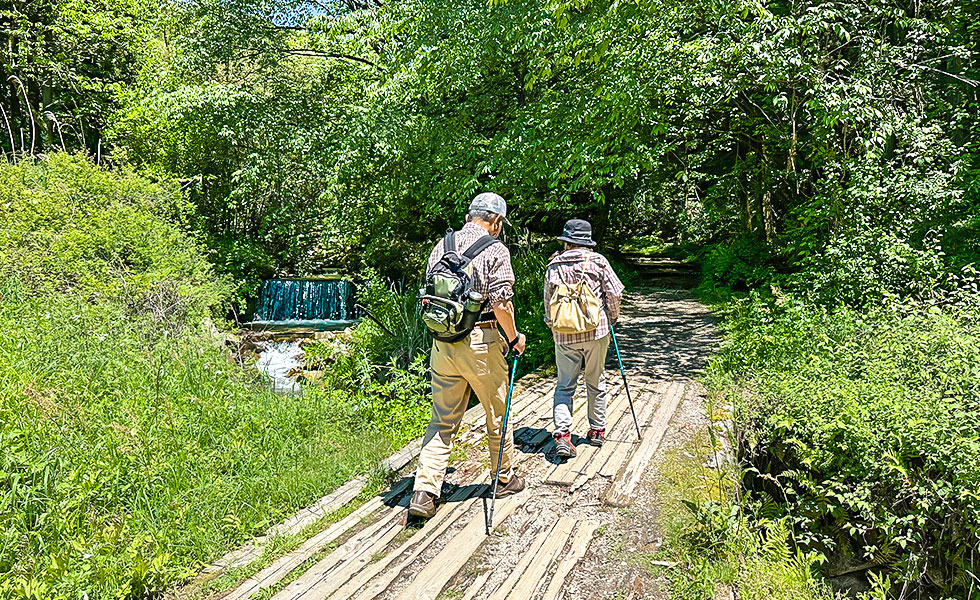 Hiking - Photo 11