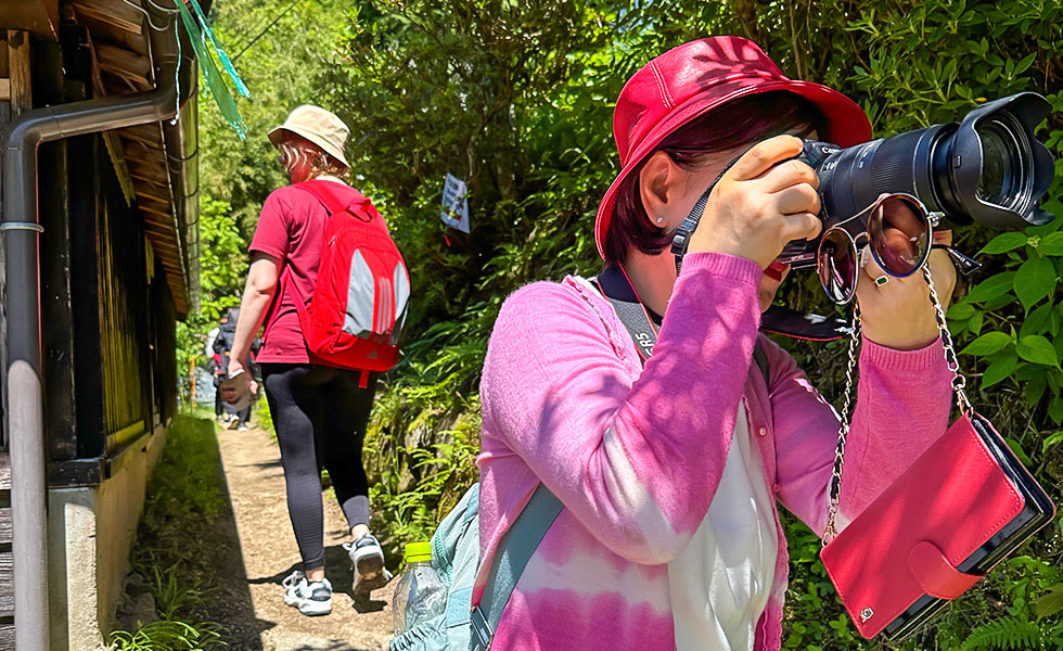 Hiking - Photo 20