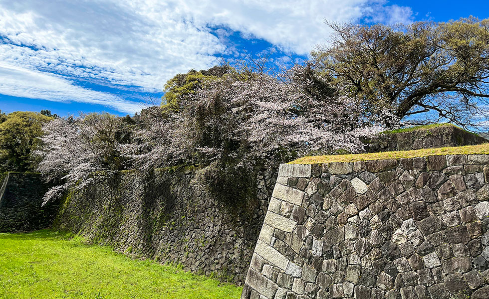 Nagoya Castle - Photo 17
