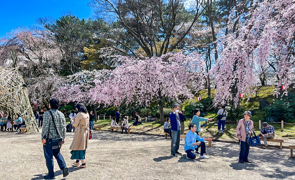 Nagoya Castle - Photo 9