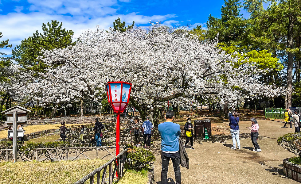 Nagoya Castle - Photo 11