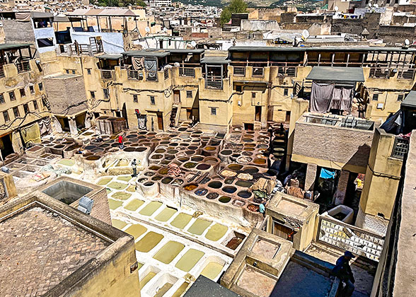 Chouara Tannery in Fes