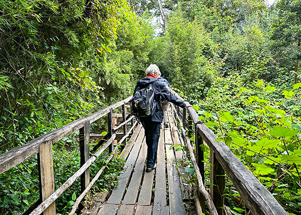 Analamazaotra National Park