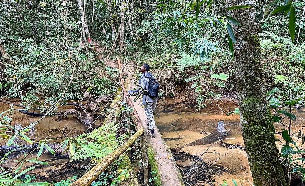 Mantadia National Park - Photo 7