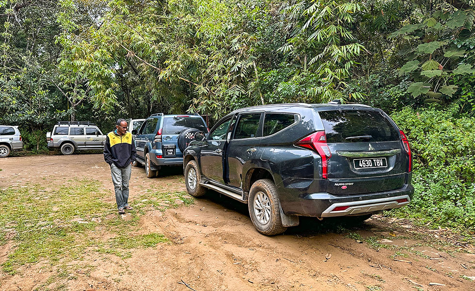 Mantadia National Park - Photo 6