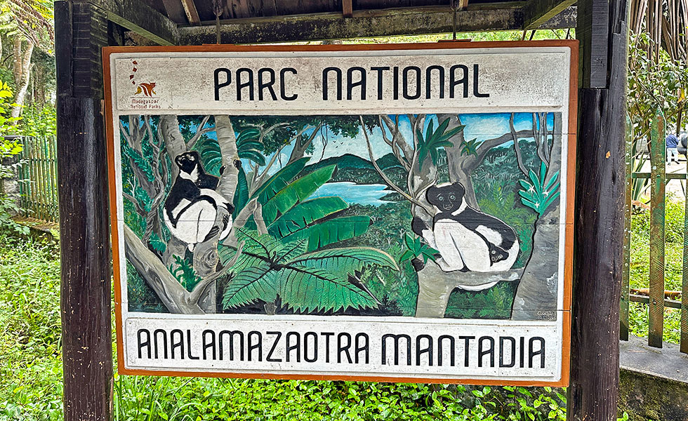 Mantadia National Park - Photo 1