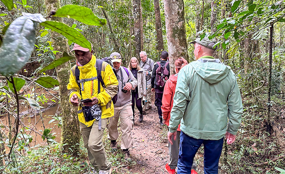 Mantadia National Park - Photo 10