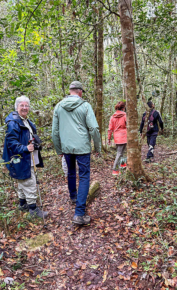 Mantadia National Park - Photo 16