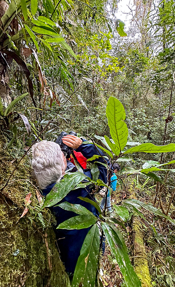 Mantadia National Park - Photo 20