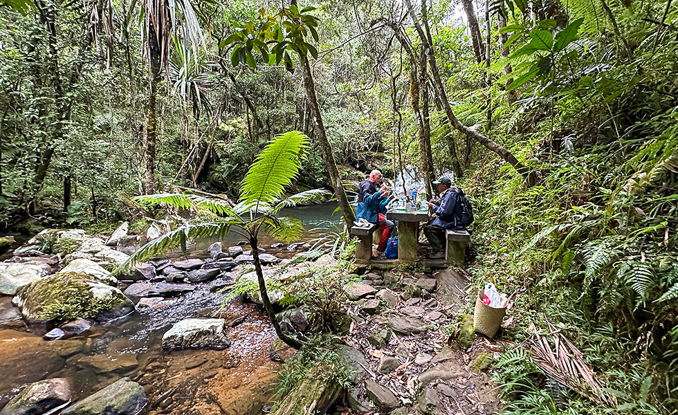Mantadia National Park - Photo 12