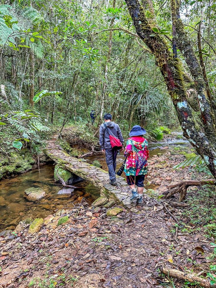 Mantadia National Park - Photo 11