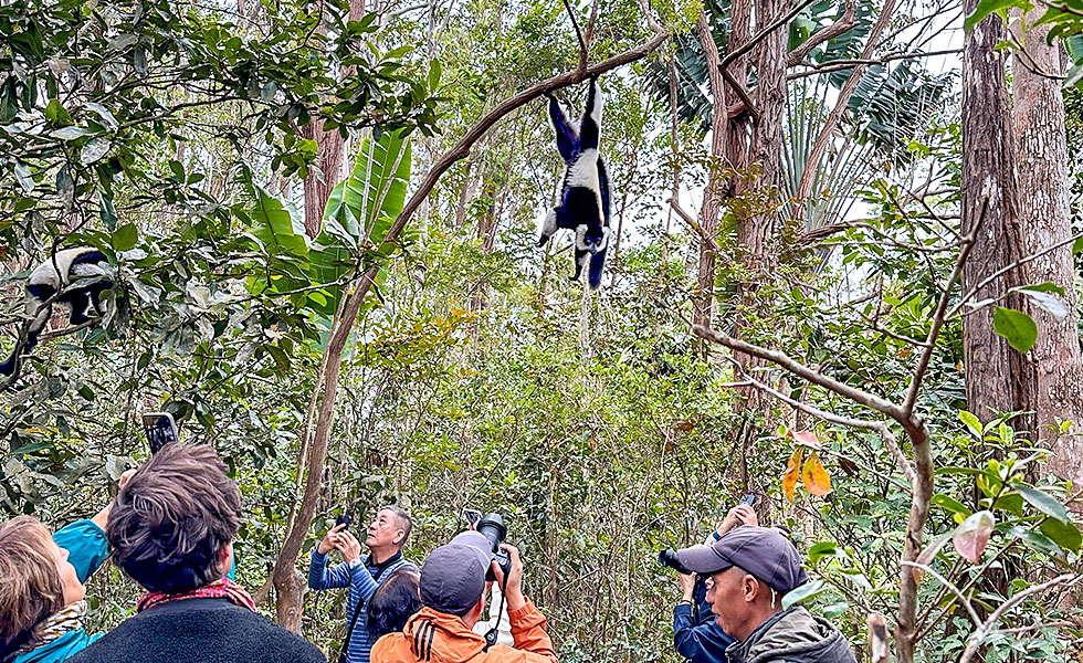 Vakona Reserve (Lemurs Island) - Photo 9