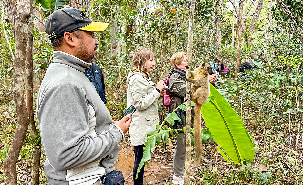 Vakona Reserve (Lemurs Island) - Photo 5