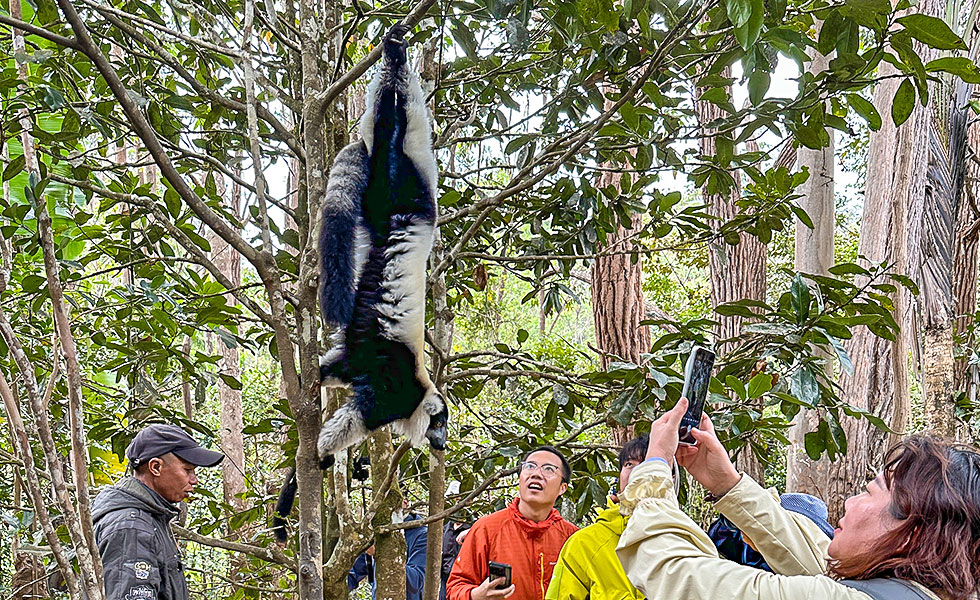Vakona Reserve (Lemurs Island) - Photo 13