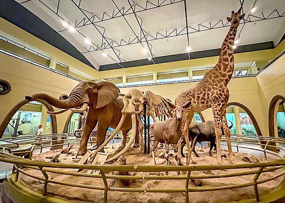 Nairobi National Museum