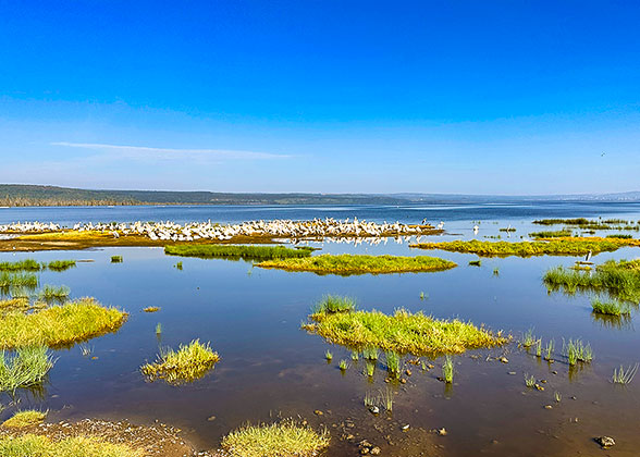 Lake Nakuru