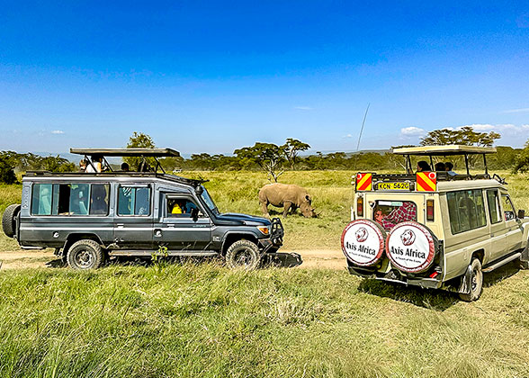 Wildlife Safari in Kenya