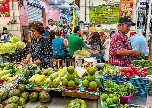 Mercado Lucas de Galves Market, Merida