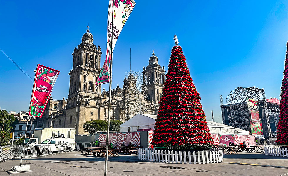 Catedral Metropolitana - Photo 2
