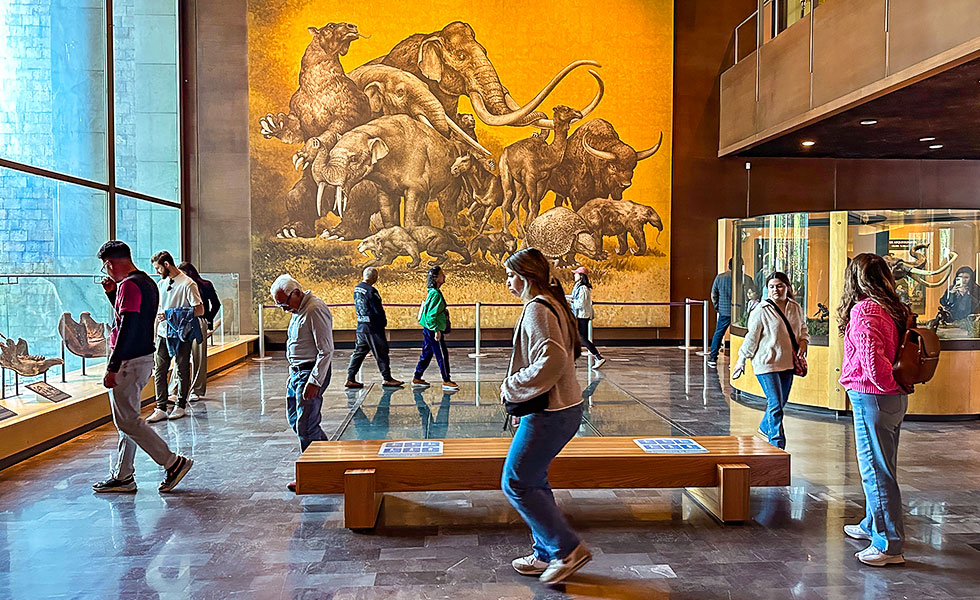 National Museum of Anthropology - Photo 7