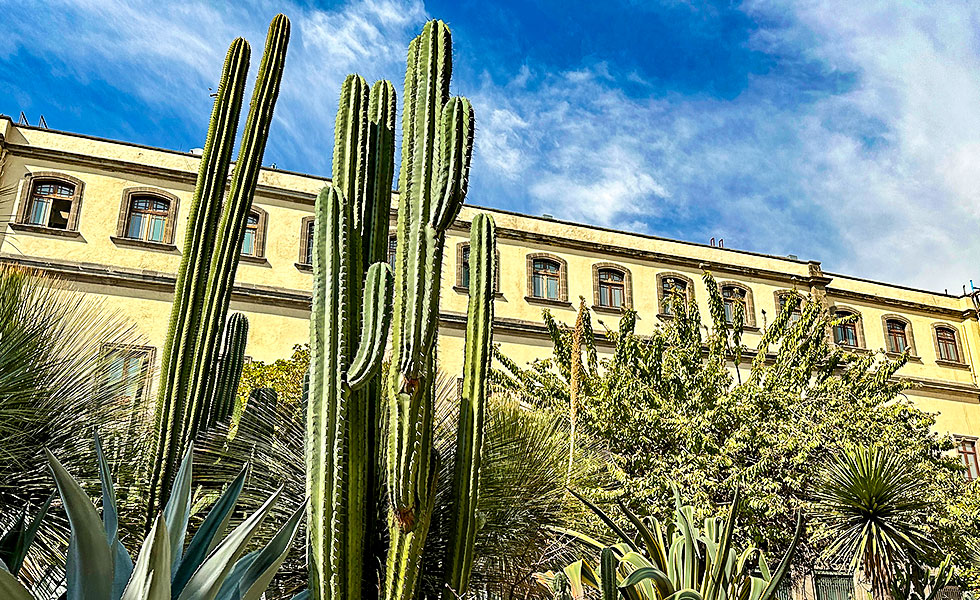 Palacio Nacional de Mexico - Photo 7