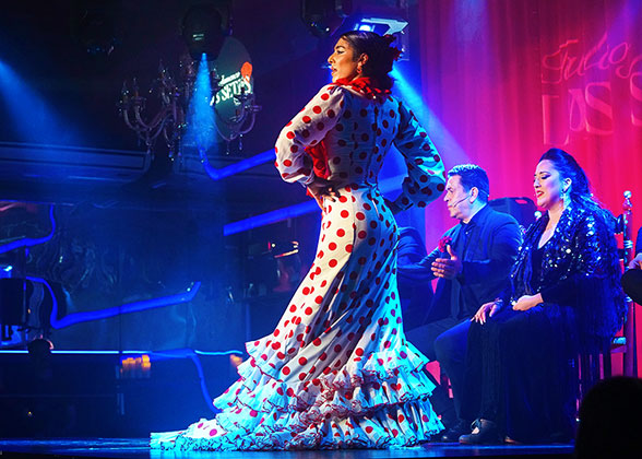 Flamenco Show in Seville