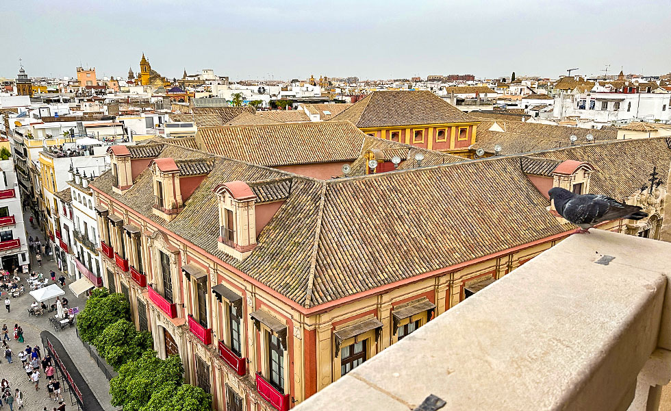Catedral de Seville - Photo 24