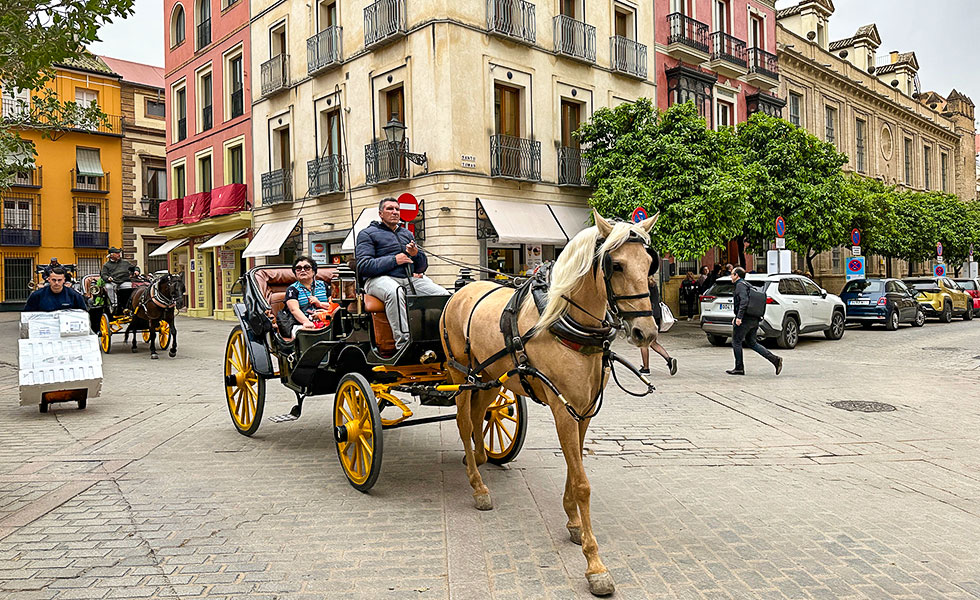 Seville Old Town - Photo 5