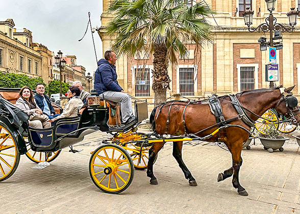 Seville Old Town