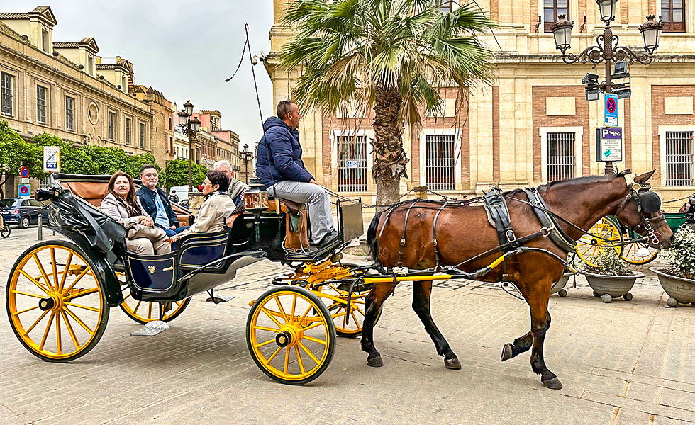 Seville Old Town - Photo 7