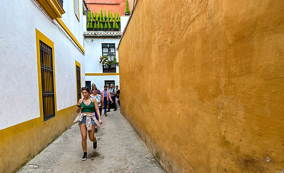 A Glance of Seville - Photo 7