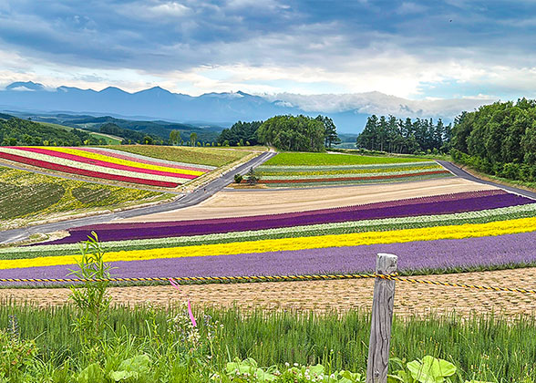 Flower Gardens Shikisai-no-oka, Biei