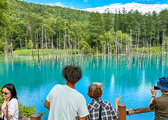 Shirogane Blue Pond
