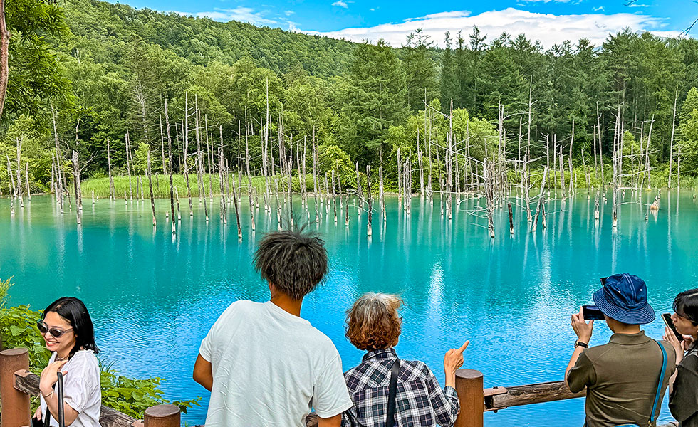 Shirogane Blue Pond - Photo 6