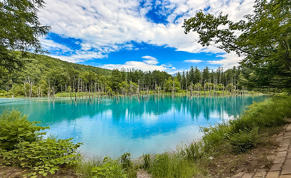 Shirogane Blue Pond - Photo 3