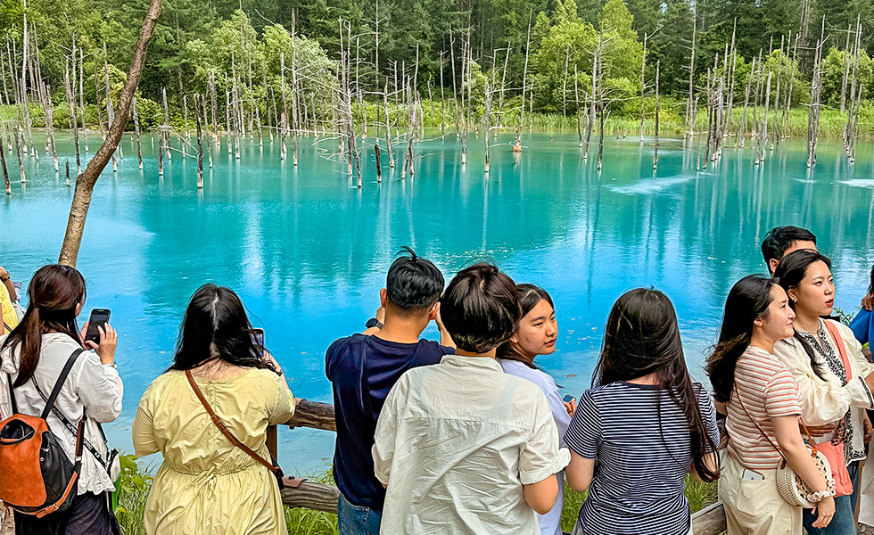 Shirogane Blue Pond - Photo 5