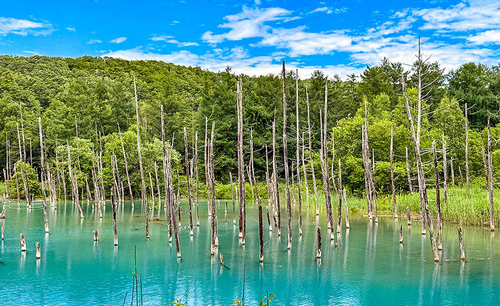 Shirogane Blue Pond - Photo 9