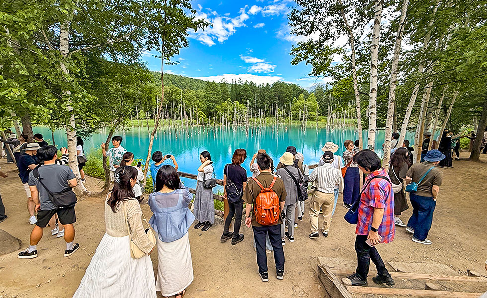 Shirogane Blue Pond - Photo 4