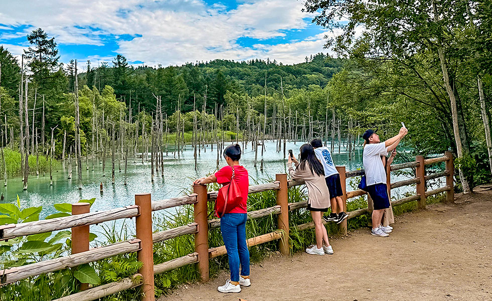 Shirogane Blue Pond - Photo 13
