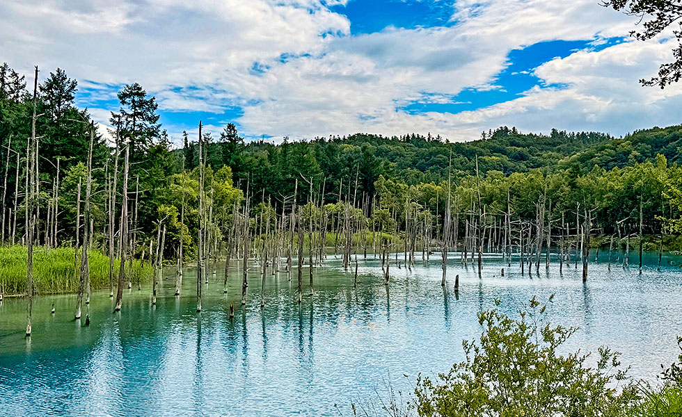 Shirogane Blue Pond - Photo 12