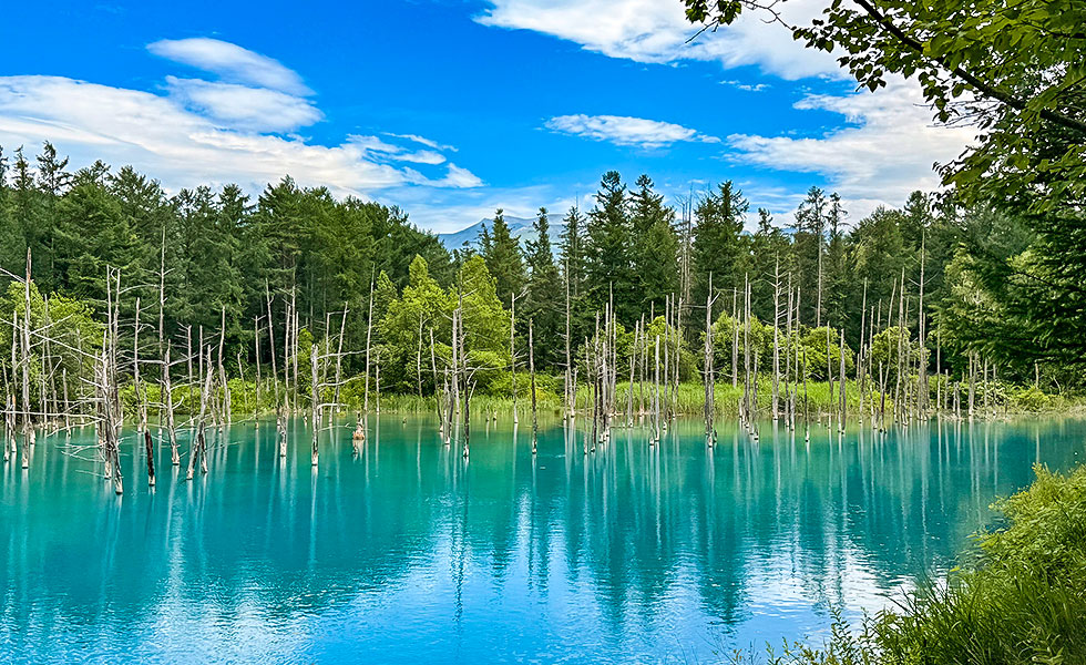 Shirogane Blue Pond - Photo 8