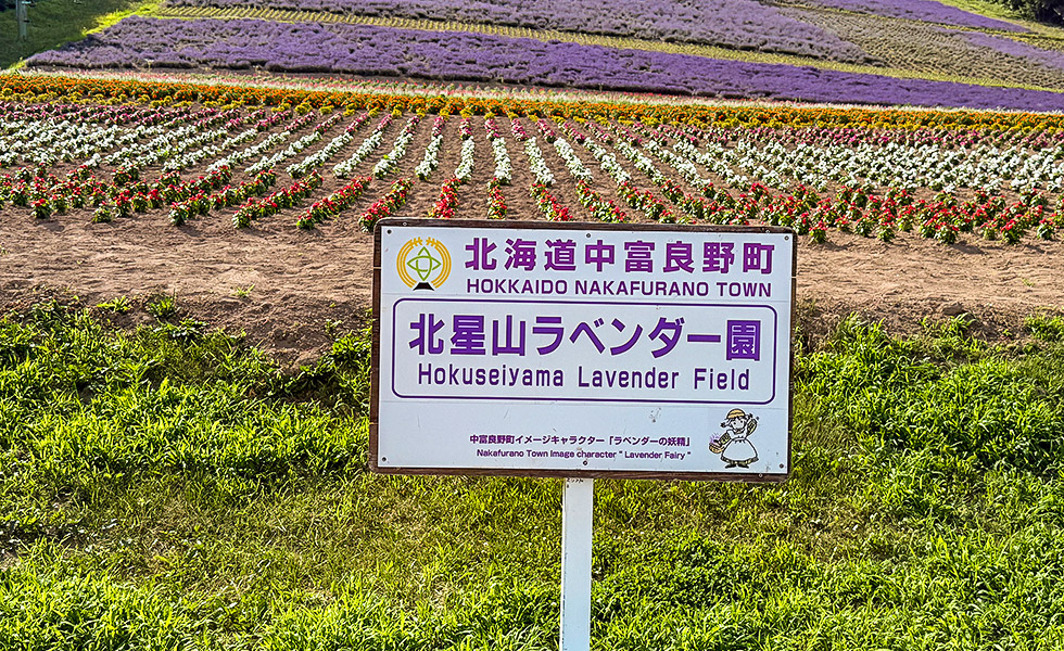 Hokuseiyama Lavender Field
