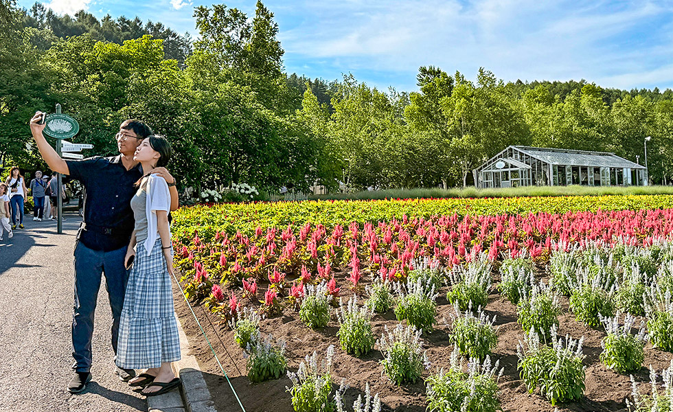 Farm Tomita