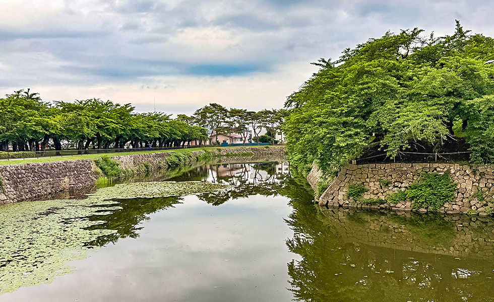 Goryokaku Park, Hakodate - Photo 2