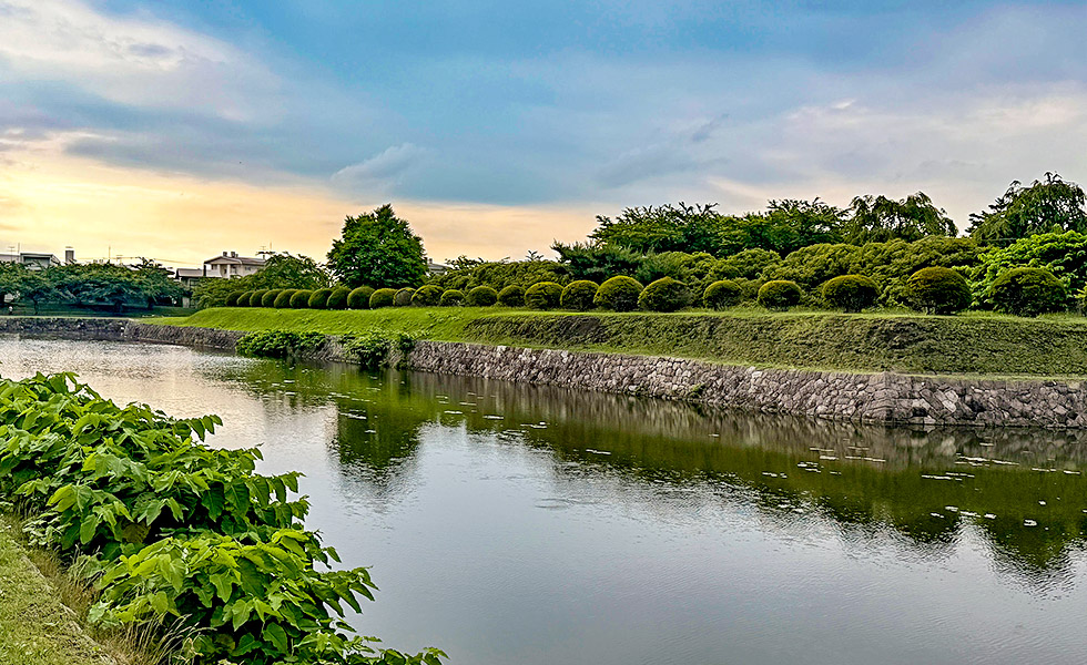 Goryokaku Park, Hakodate - Photo 6