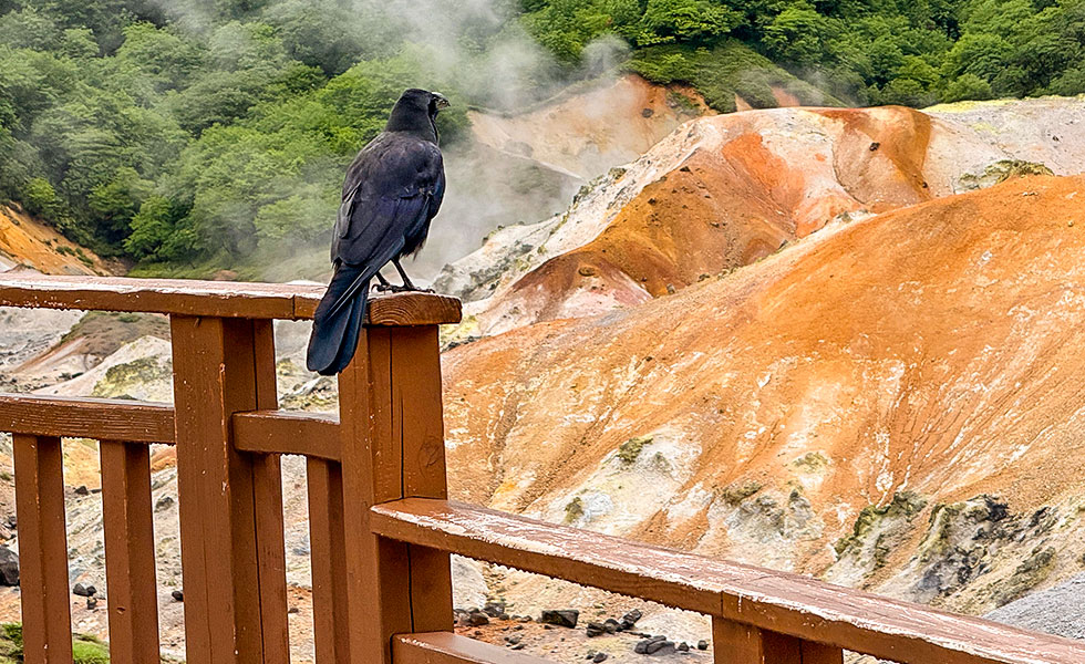 Noboribetsu Hell Valley, Hokkaido - Photo 5