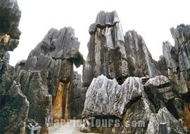 Yunnan Stone Forest, Kunming