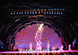 An acrobatic show, Shanghai 
