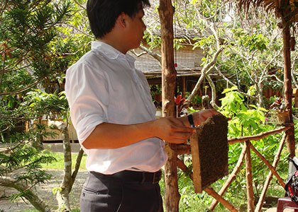 Mekong Delta