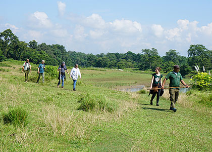 Jungle Walk